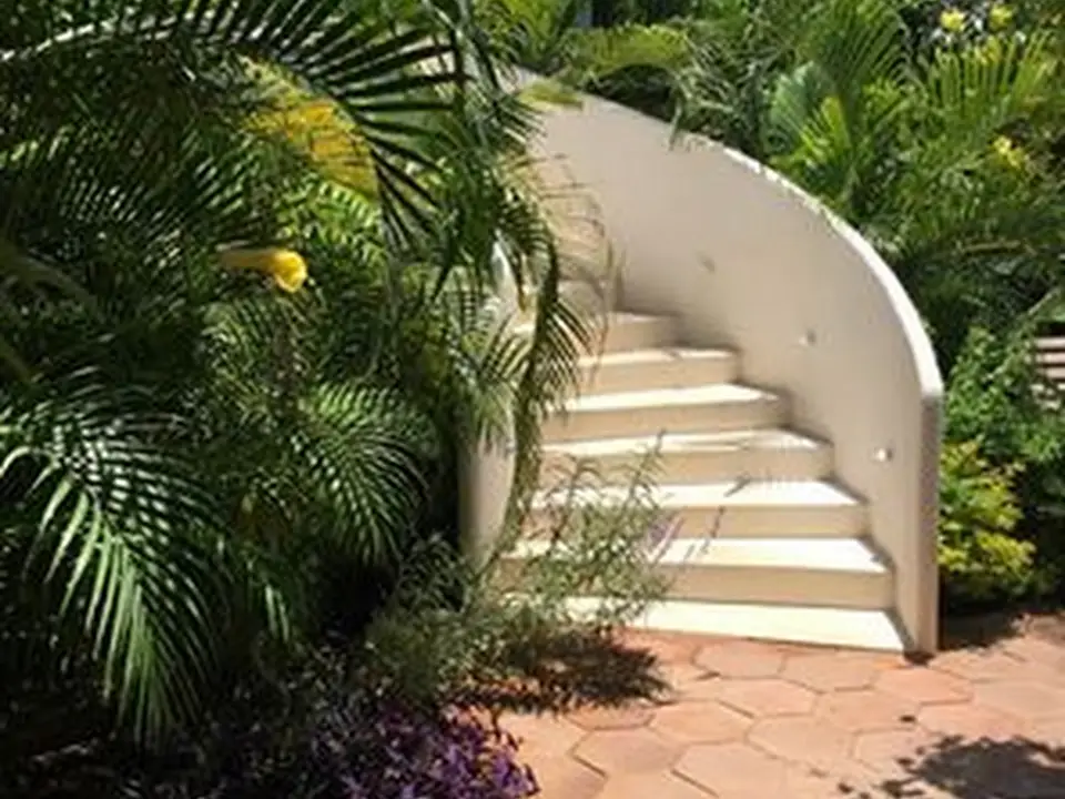Garden staircase among palms