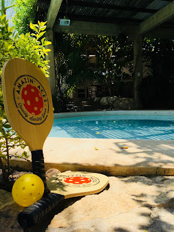 Pickleball paddles by the pool